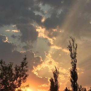 Meet your Posher, Brianne